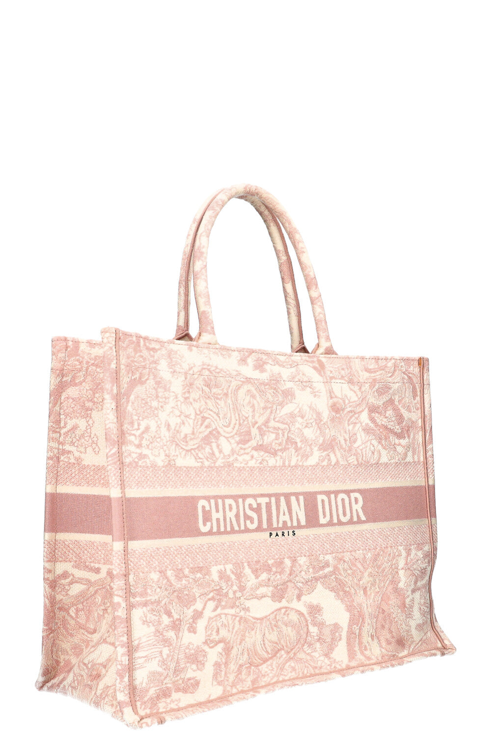 Dior Book Tote Mini Canvas Tote