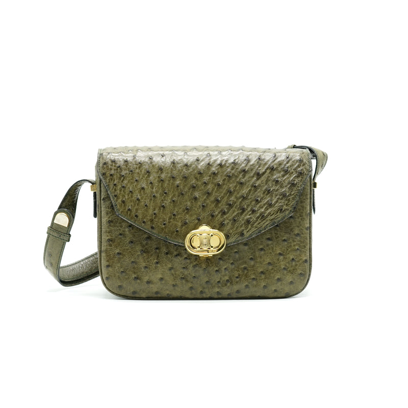 Luxury CELINE Ostrich Triomphe Bag