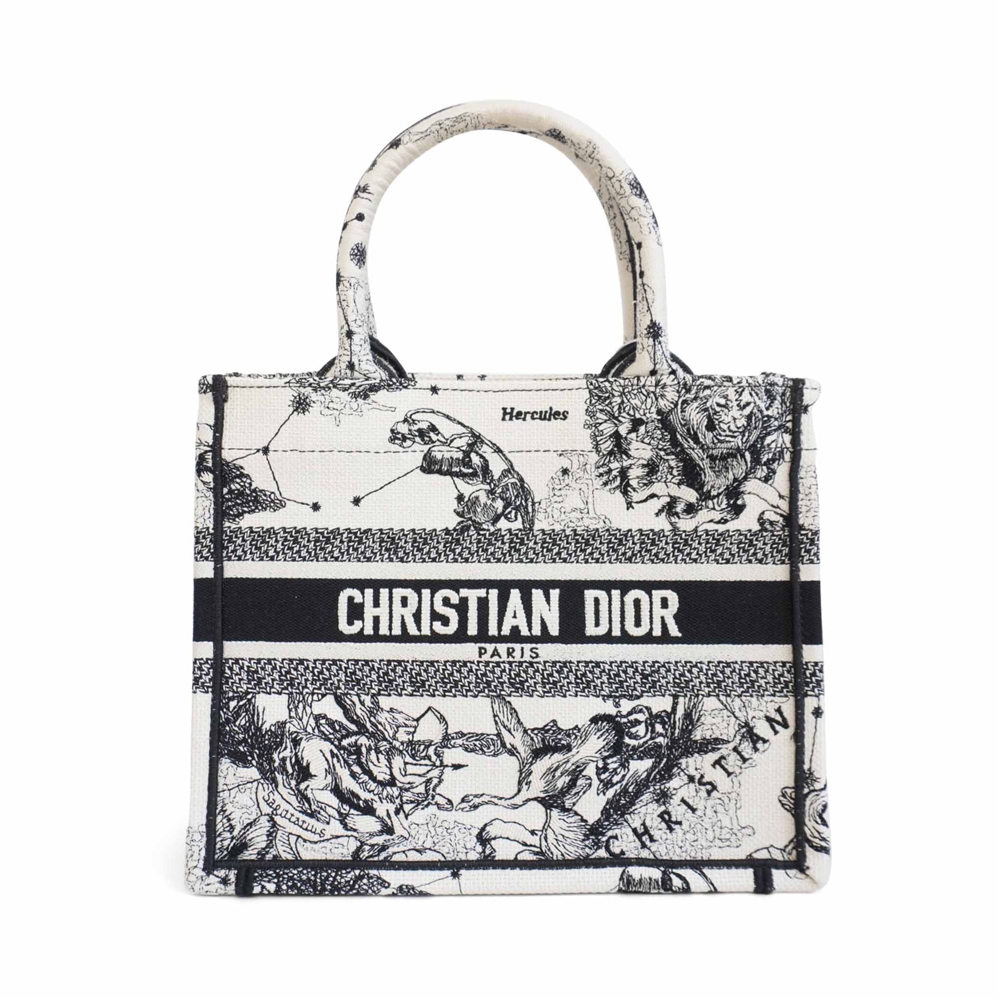 Dior Book Tote Canvas Tote