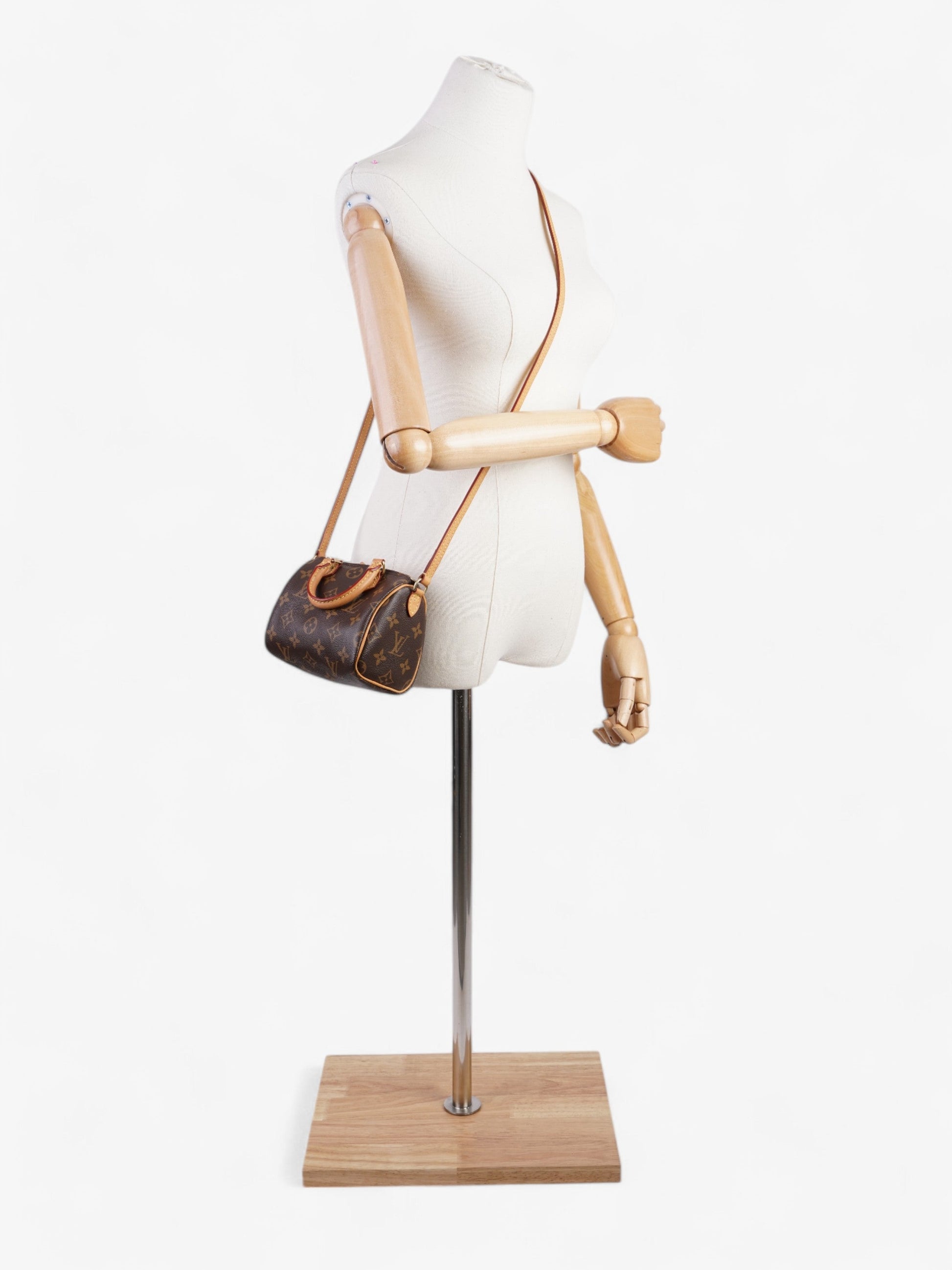 Louis Vuitton Speedy Monogram Coated Canvas Nano