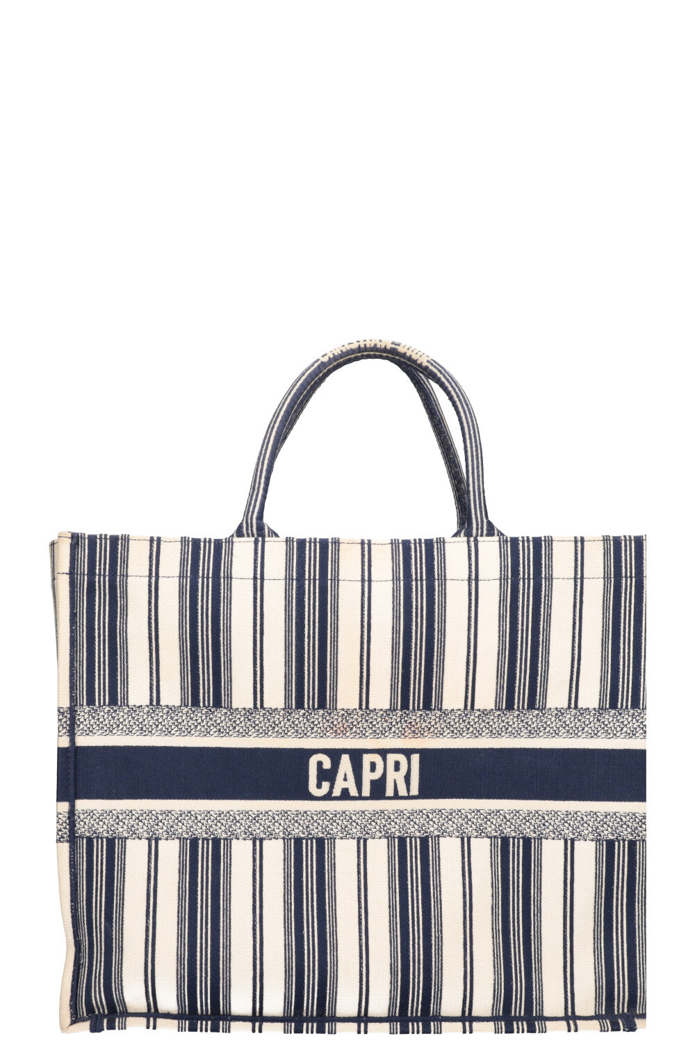 Dior Book Tote Mini Canvas Tote