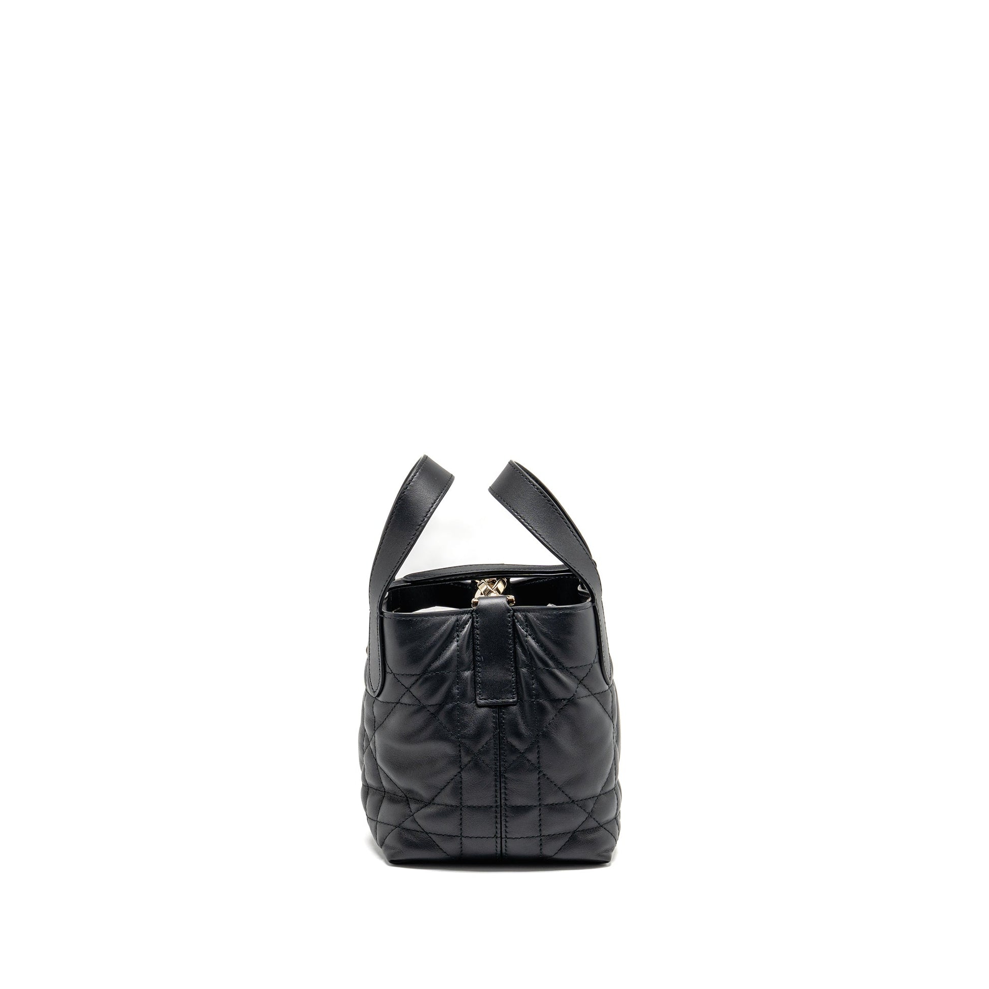 Dior Toujours Vertical Nano Tote Purse calfskin black