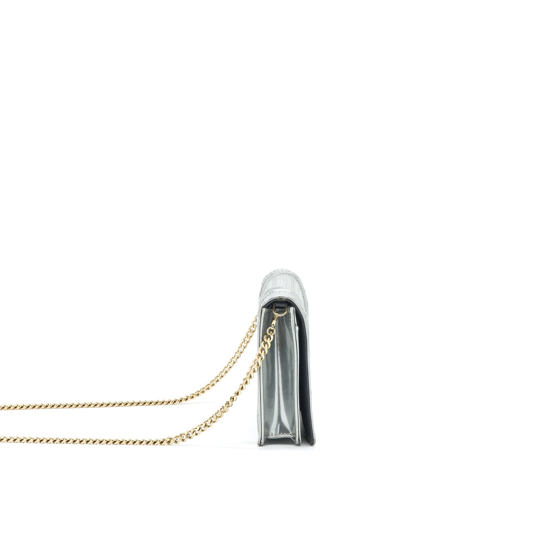 Dior Diorama Wallet on Chain Metallic Silver