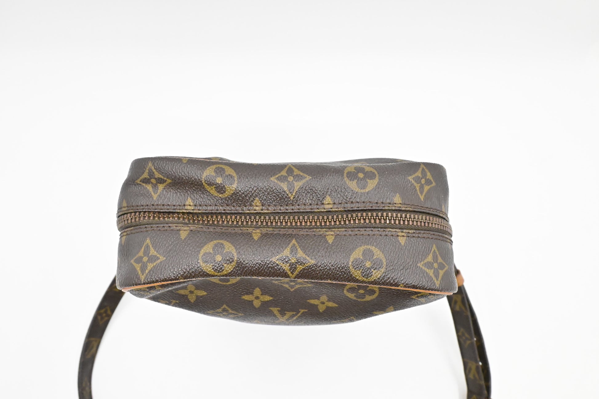 Louis Vuitton Danube GM in Monogram Canvas