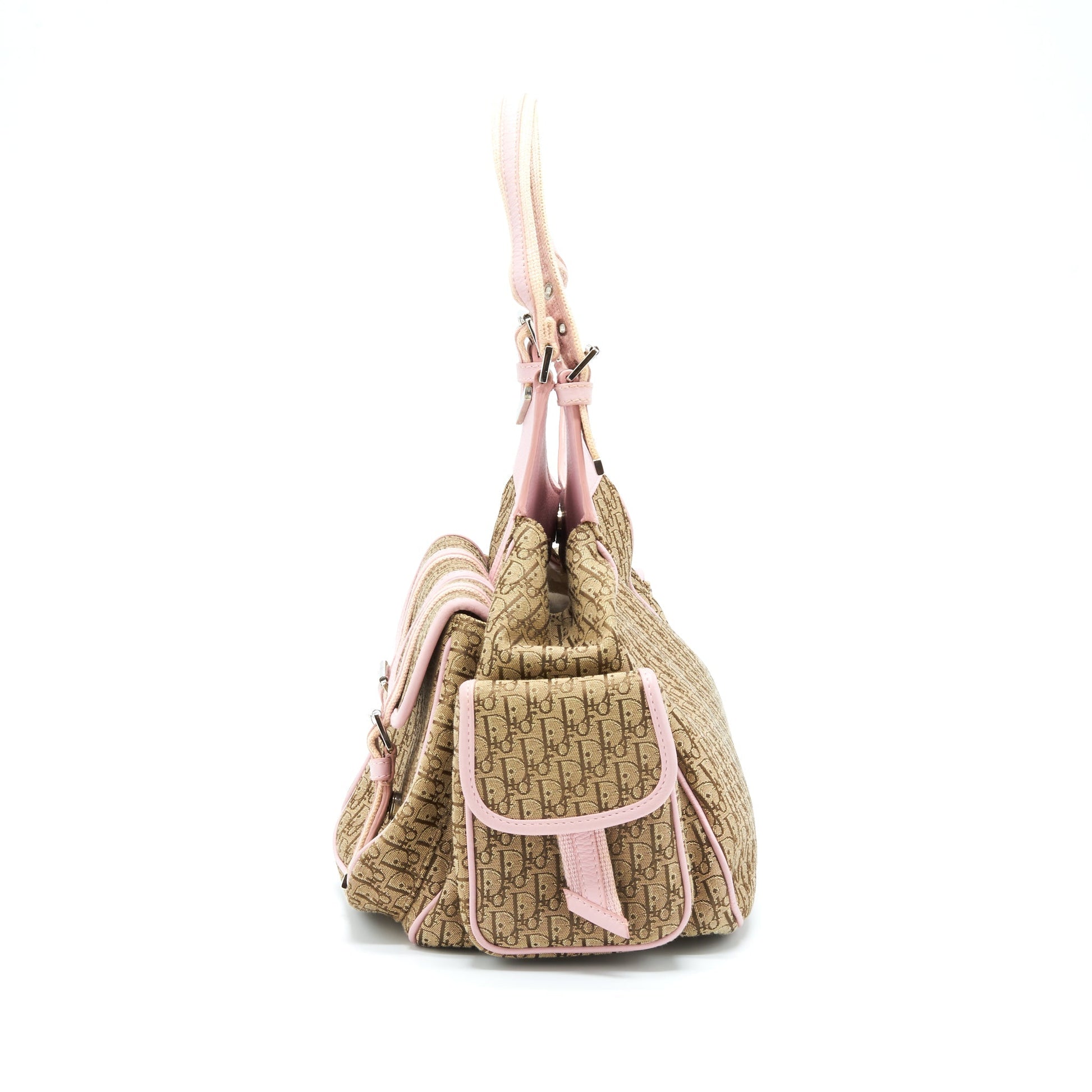 Dior Trotter Street Chic Pocket Diorissimo Hobo Purse Canvas
