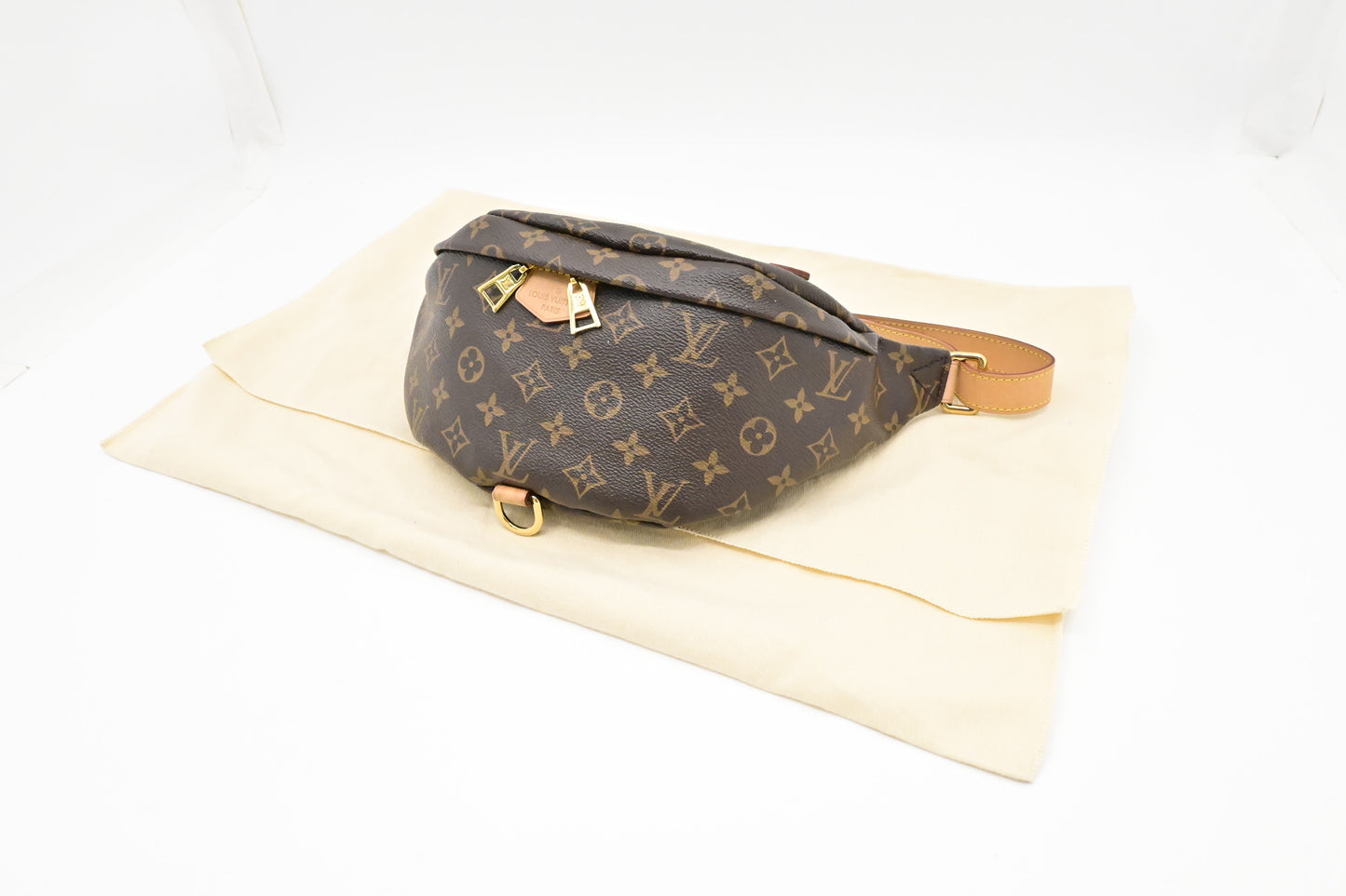 Louis Vuitton Bumbag in Monogram Canvas
