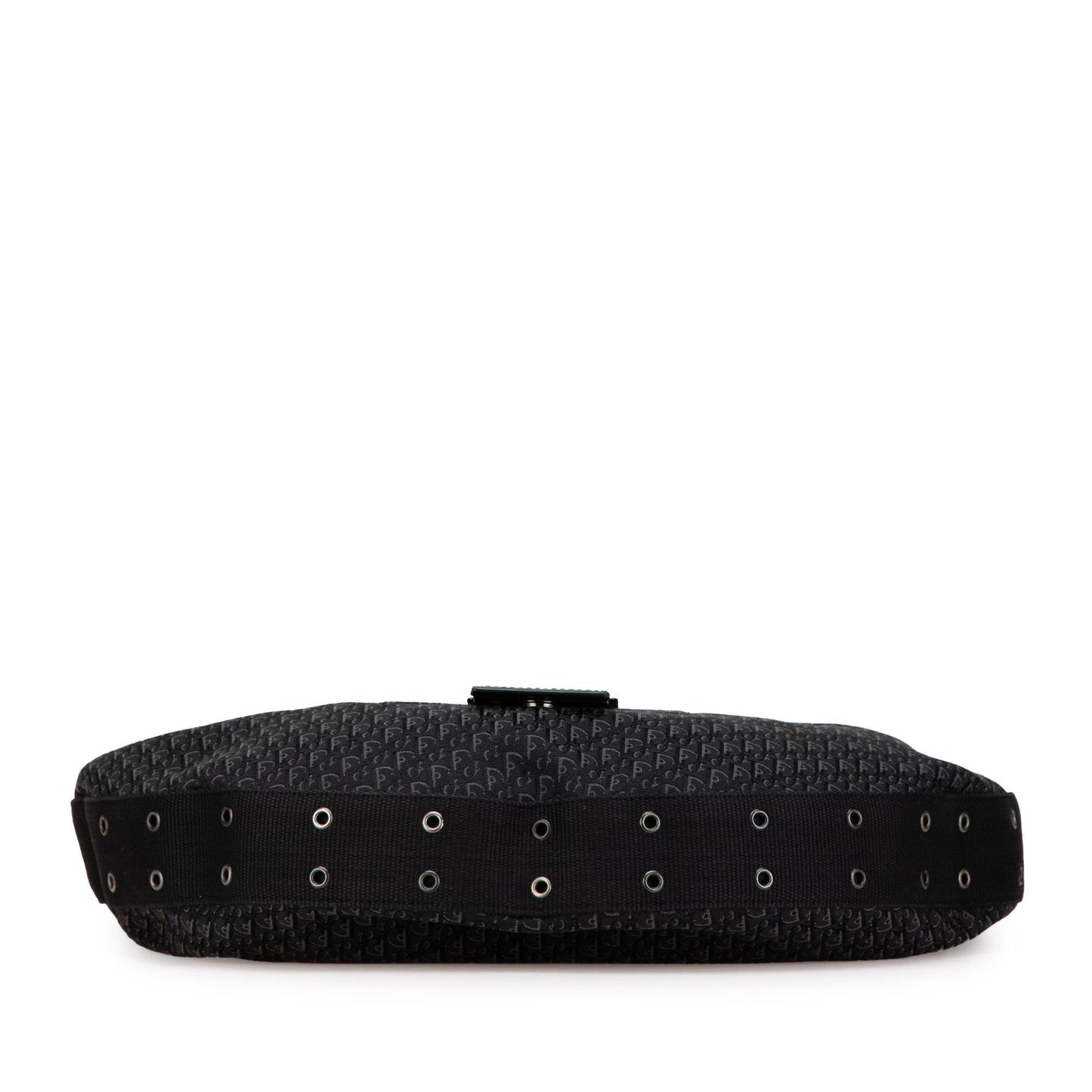 Dior Diorissimo Trotter Canvas Street Chic Hobo