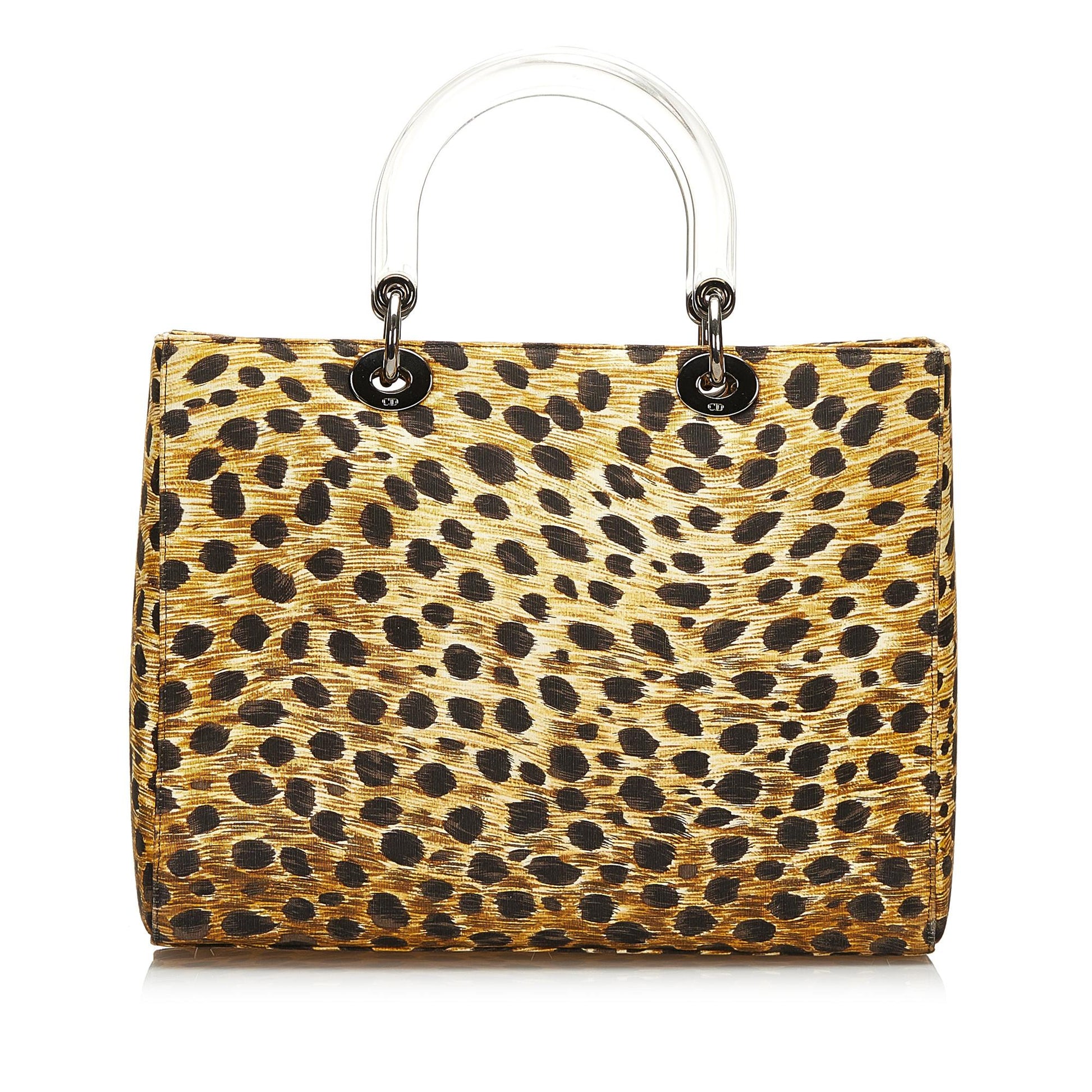 Saint Laurent Lady Dior Mini Canvas Handbag