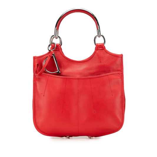 Dior Medium Leather 61 Hobo