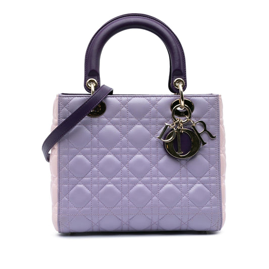Dior Medium Tricolor Lambskin Cannage Lady Dior