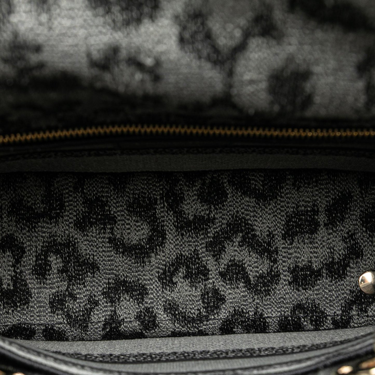 Dior Mizza Medium Embroidered Canvas Leopard Lady D Lite