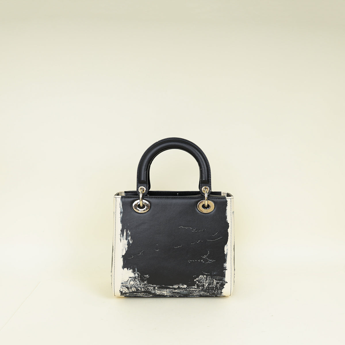 Christian Dior Bicolor Lady Dior Paris Print and Rhinestone Embroidery Medium Bag