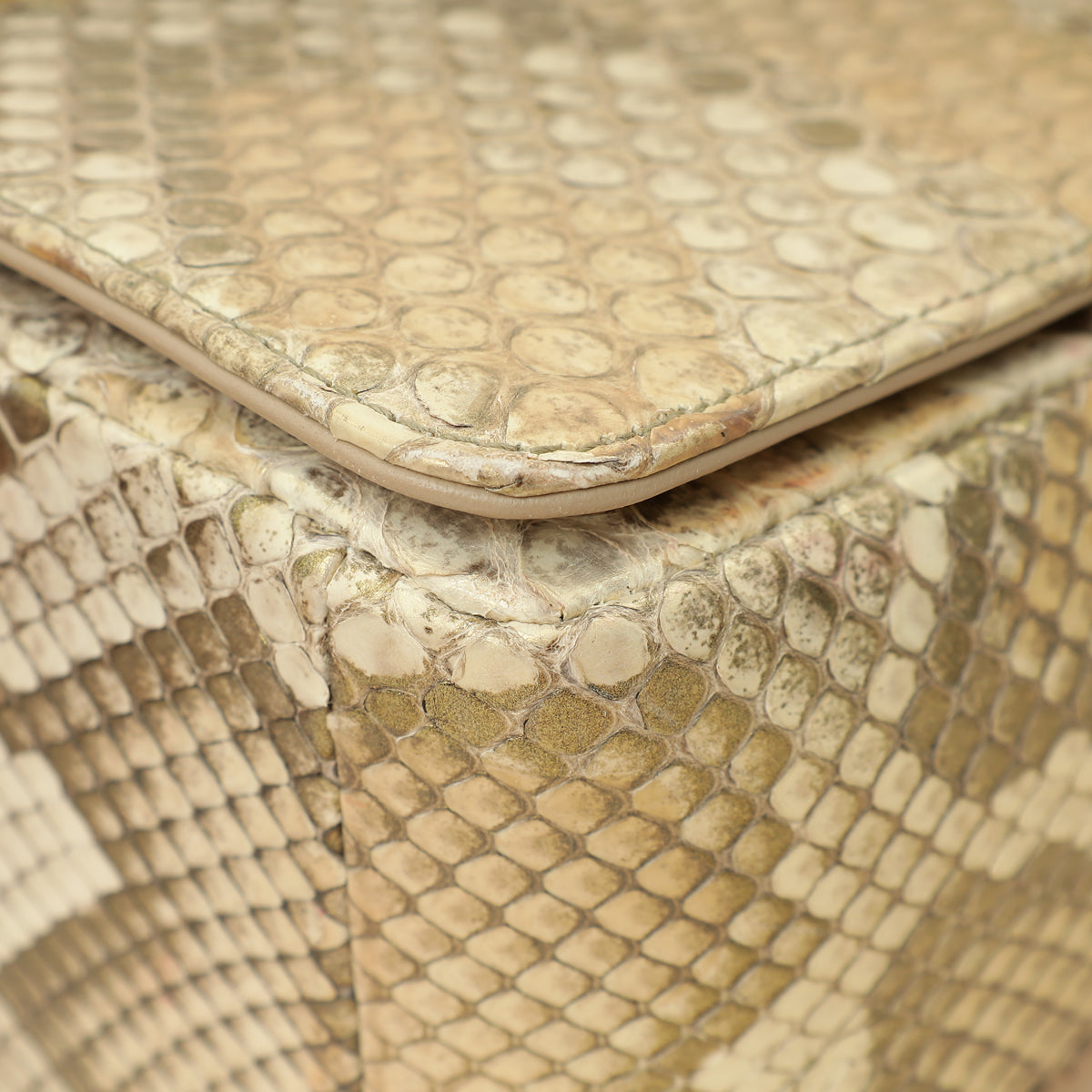 Christian Dior Metallic Golden Beige Python Caro Flap Medium Shoulder Bag