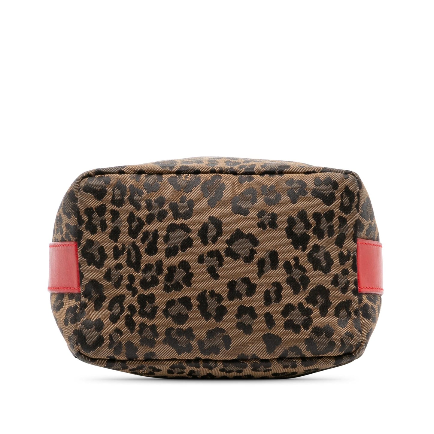 Fendi Leopard Print Canvas Handbag