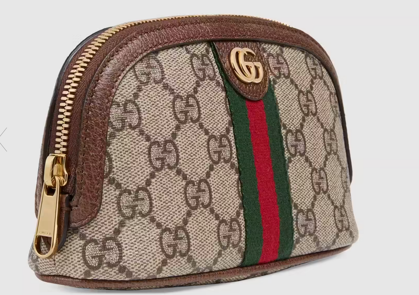 Gucci Caro Leather Canvas Clutch