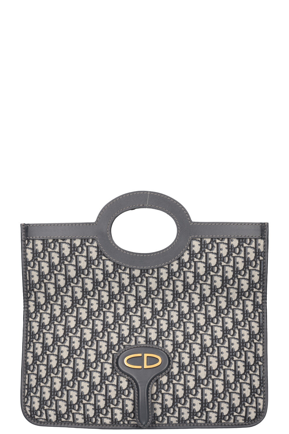 Dior Mini Canvas Tote