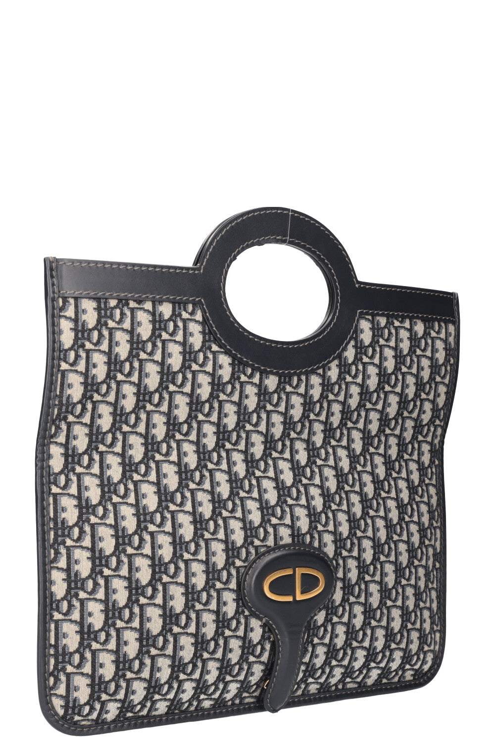 Dior Mini Canvas Tote
