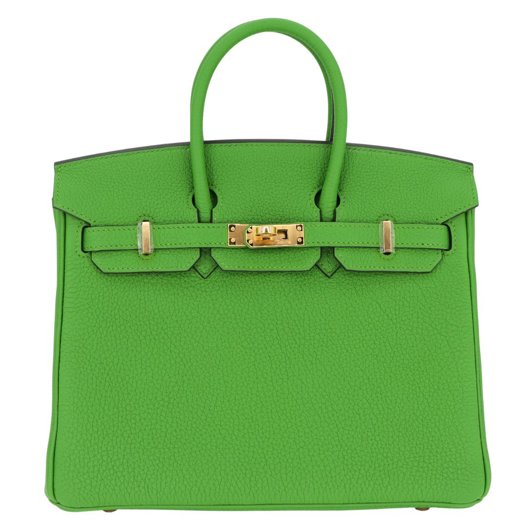 Hermes25cm Birkin Vert Yucca Togo Leather Gold Hardware