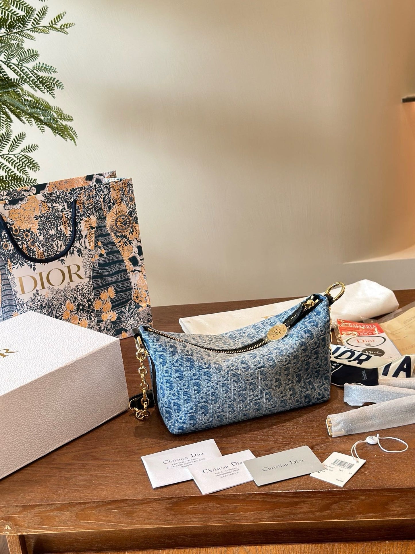 Dior Chain Shoulder Bag