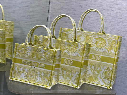 Dior Book Tote Tote