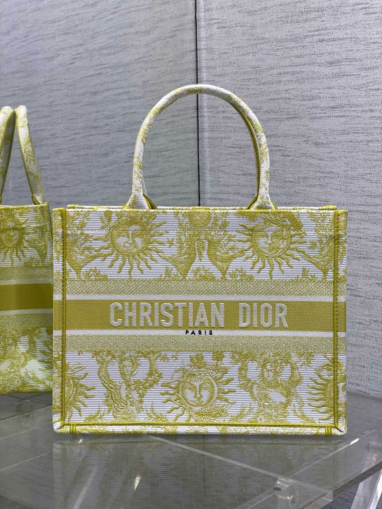 Dior Book Tote Tote