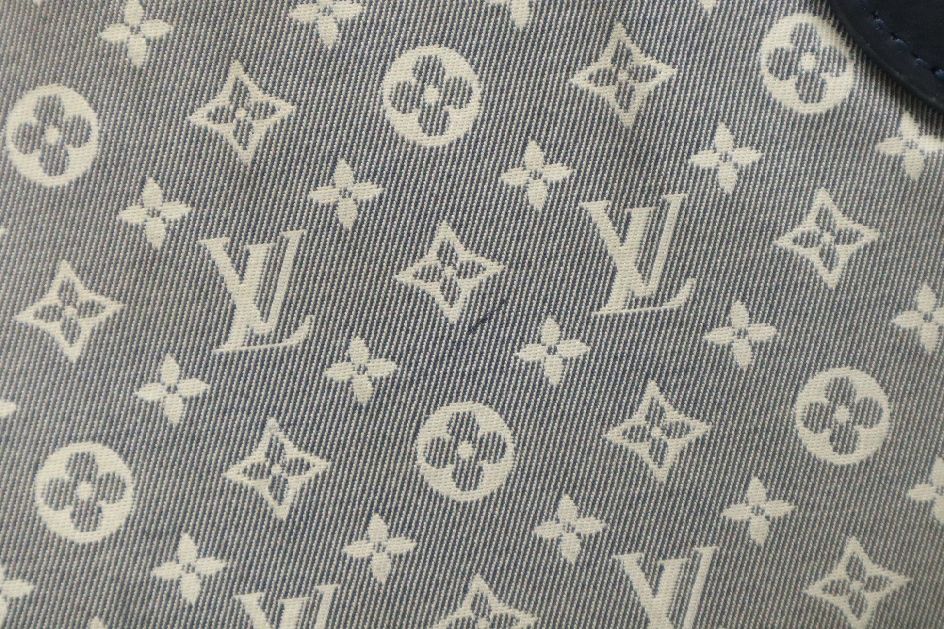 Louis Vuitton Neverfull MM in Encre Idylle Canvas