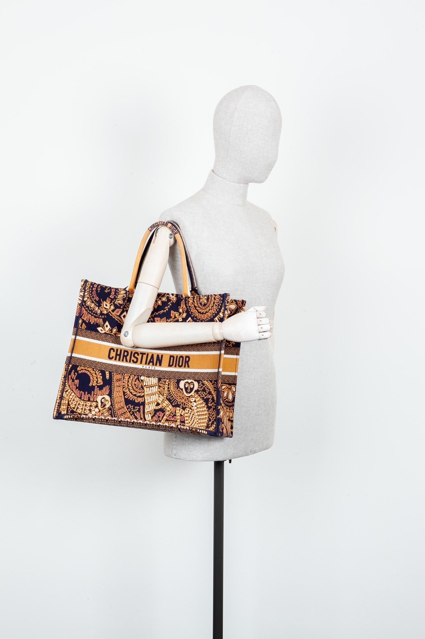 Dior Book Tote Canvas Tote