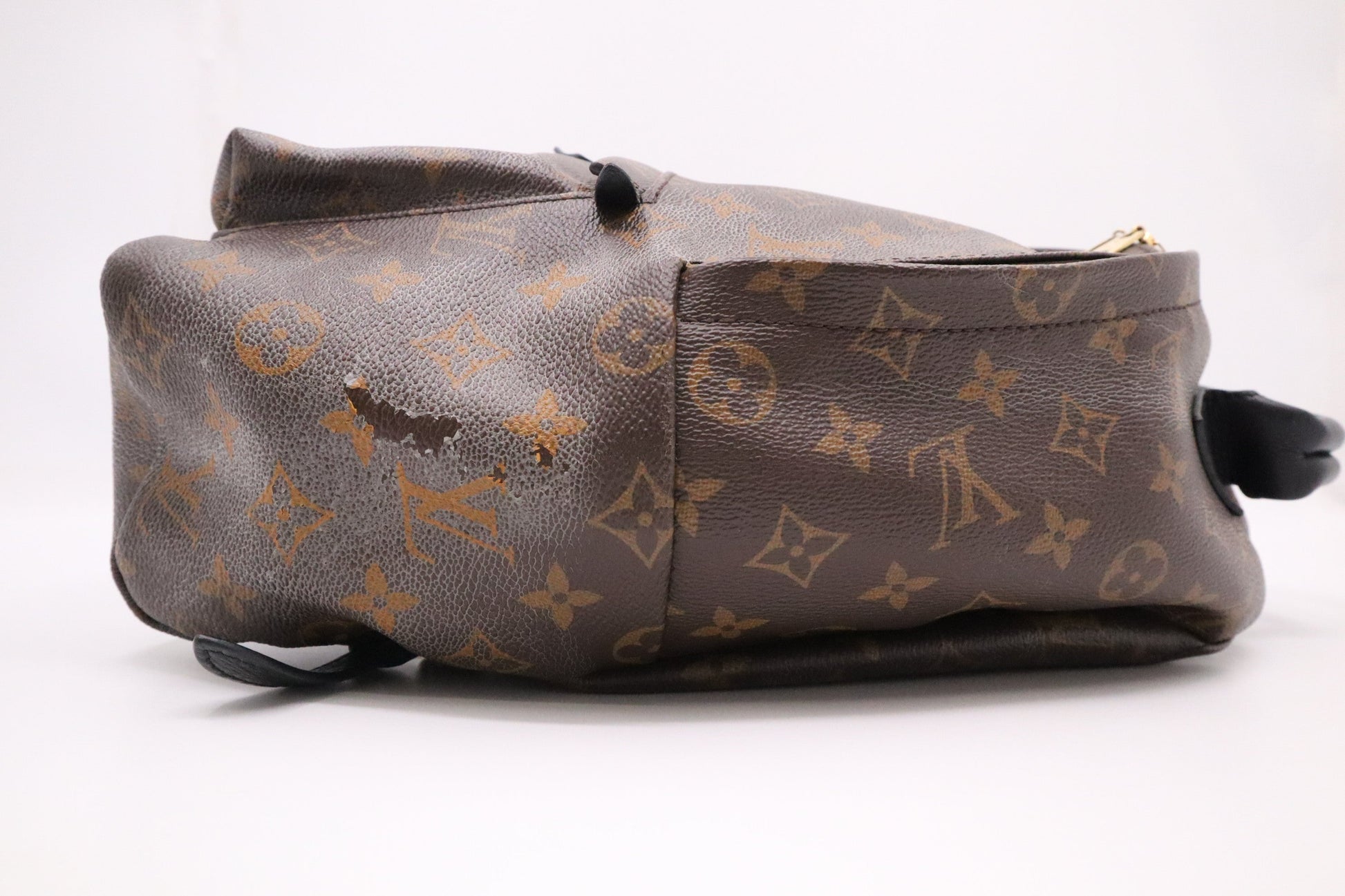 Louis Vuitton Palm Springs MM Backpack in Monogram Canvas