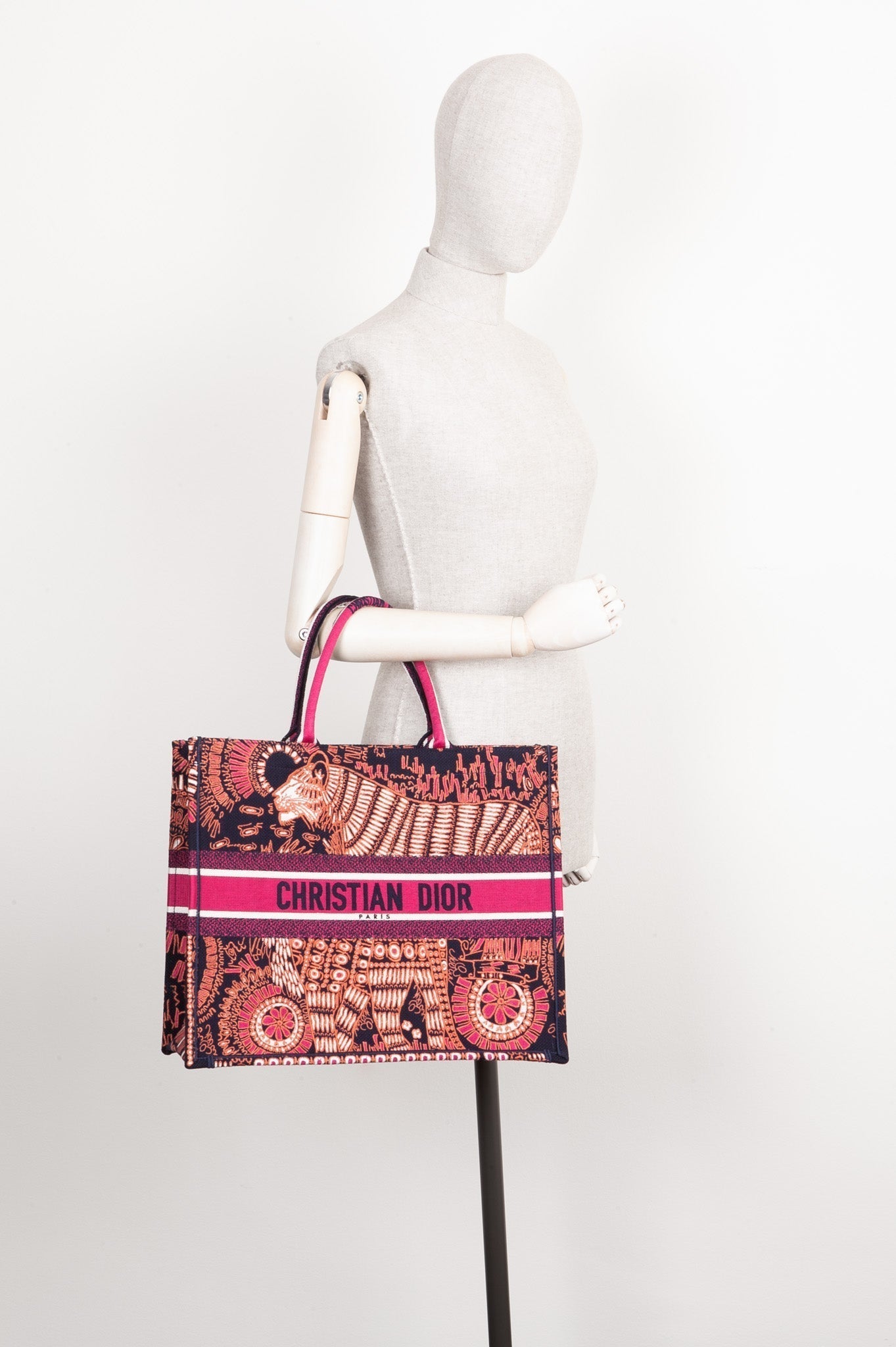 Dior Book Tote Canvas Tote