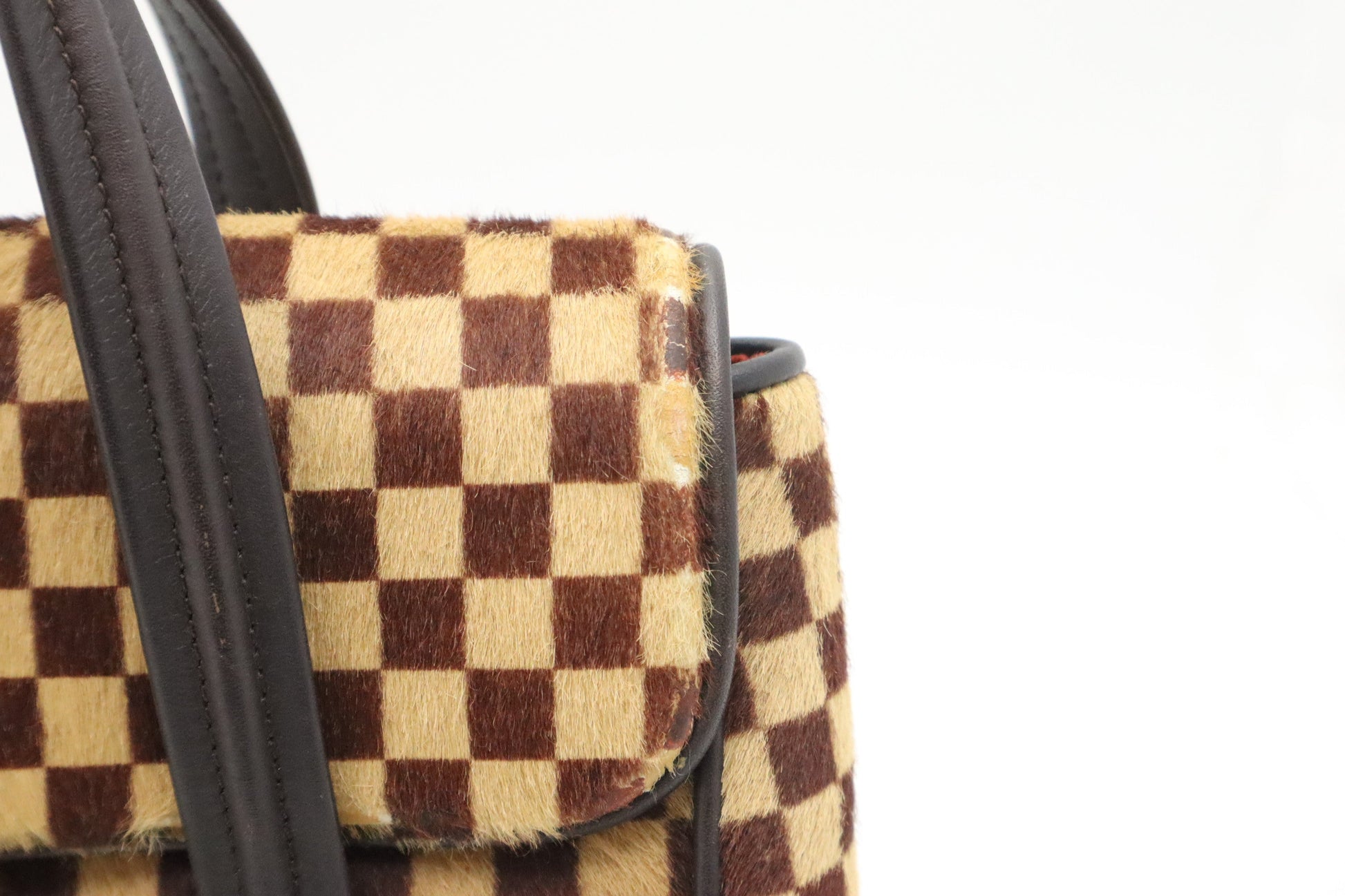 Louis Vuitton Lion Handbag in Damier Sauvage