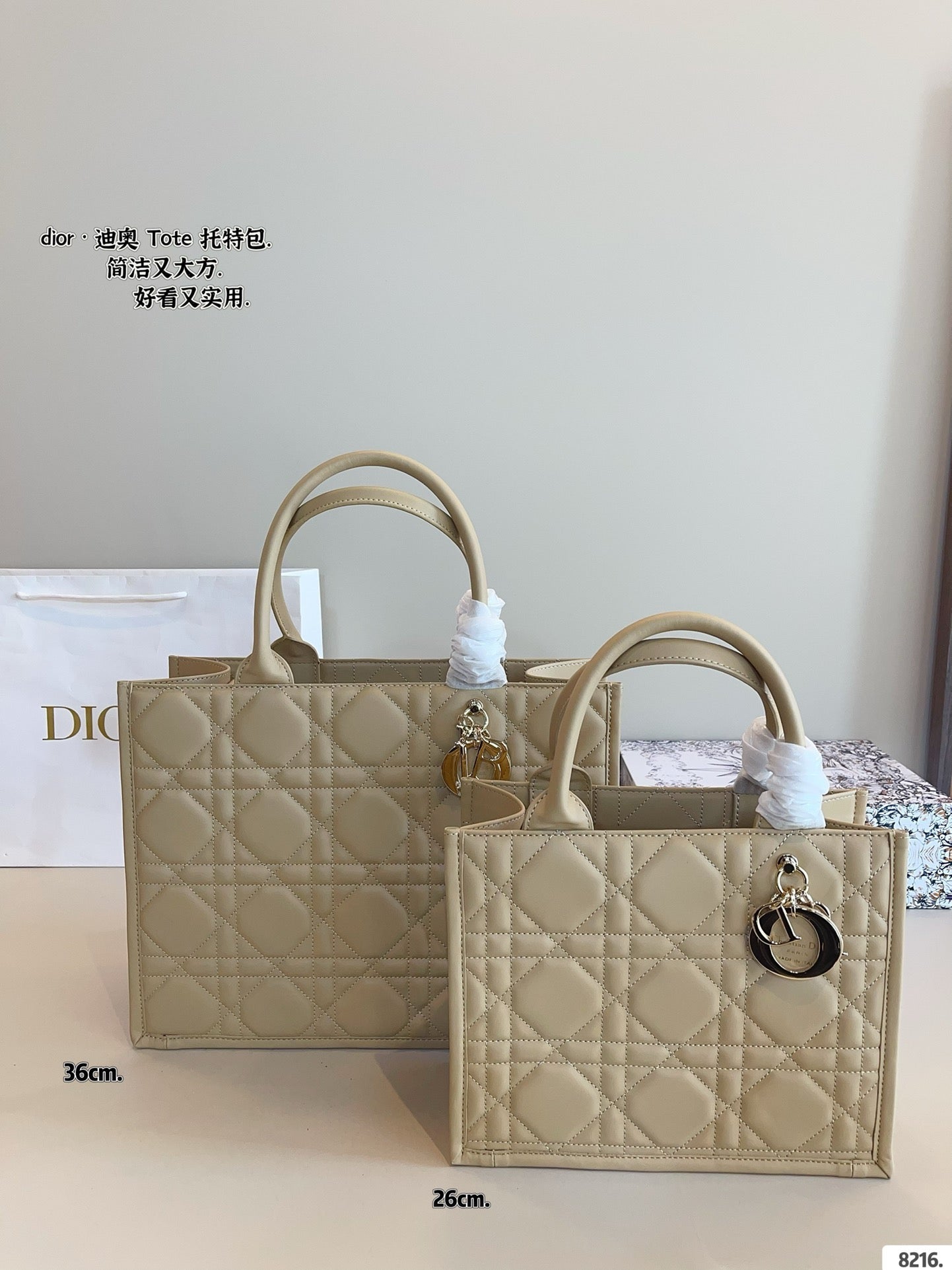 Dior Book Tote Tote