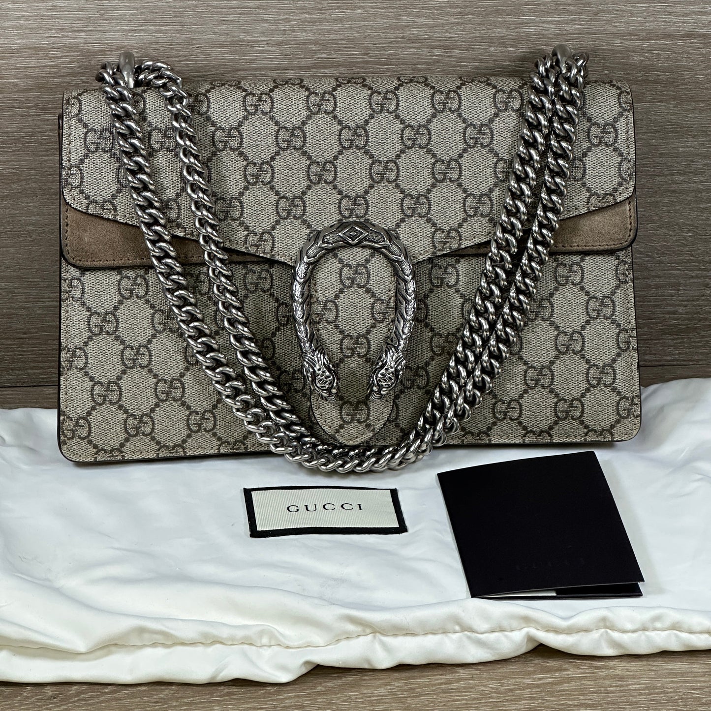 Gucci Canvas Shoulder Bag