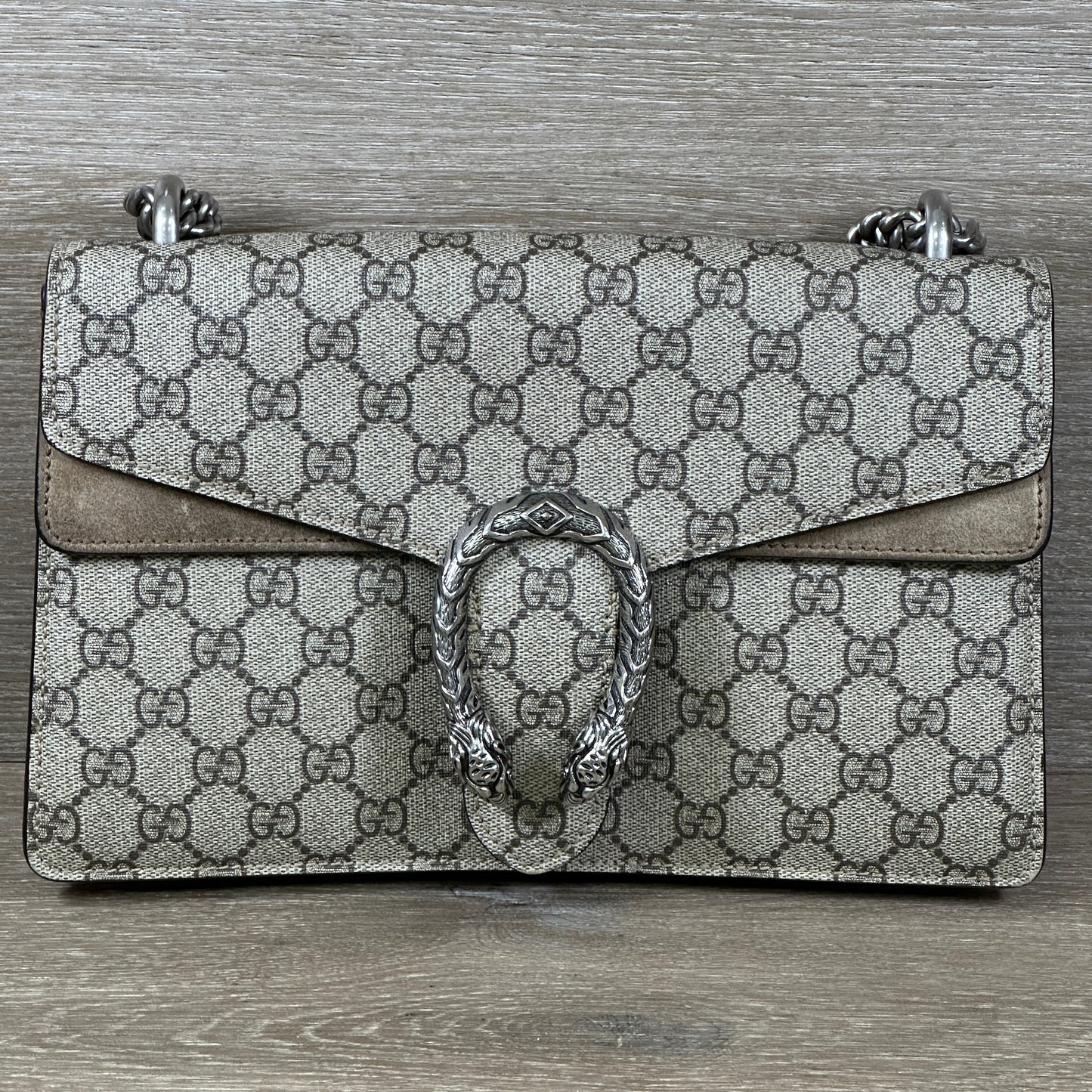 Gucci Canvas Shoulder Bag
