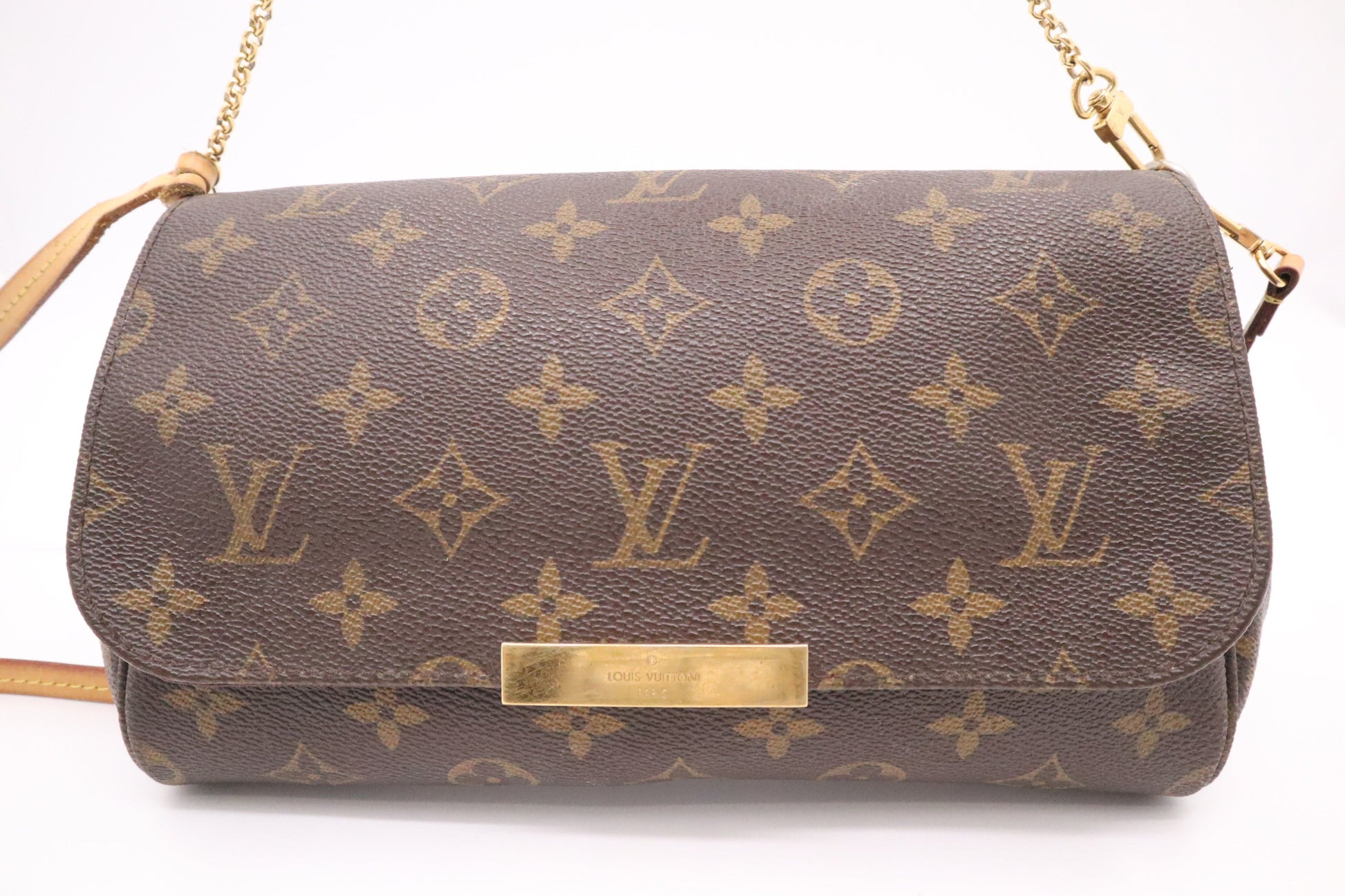 Louis Vuitton Favorite MM in Monogram Canvas