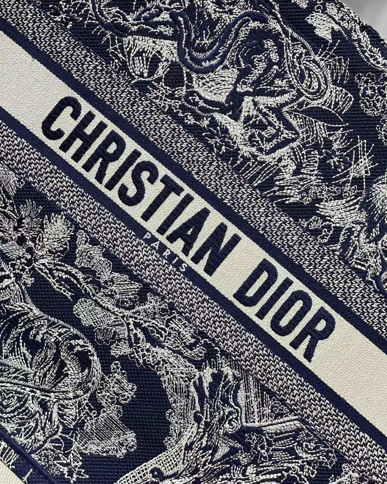 Dior Book Tote Tote