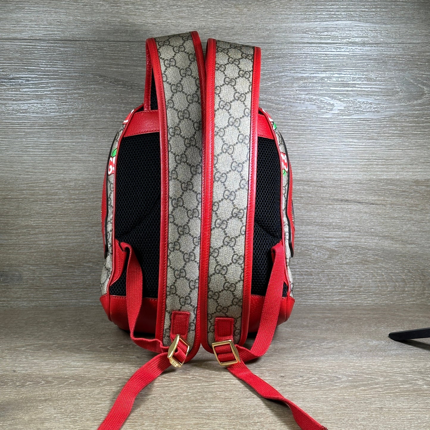 Gucci Canvas Shoulder Bag