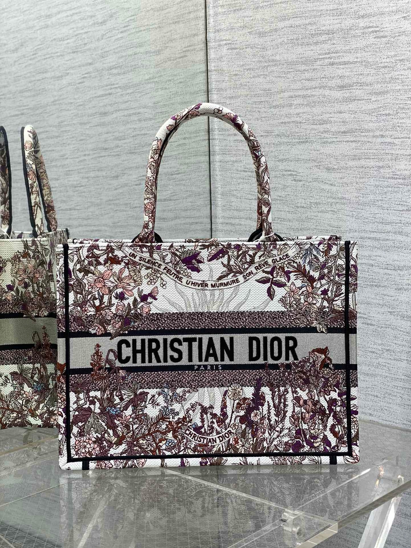 Dior Book Tote Tote