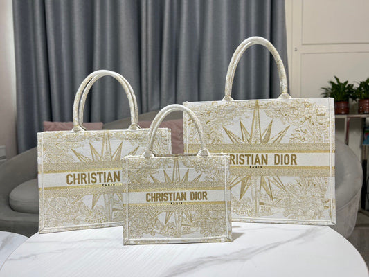 Dior Book Tote Tote