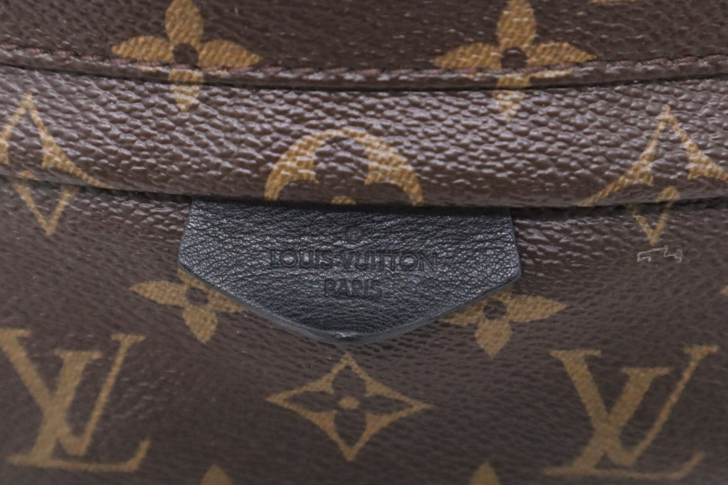 Louis Vuitton Palm Springs Backpack PM in Monogram Canvas