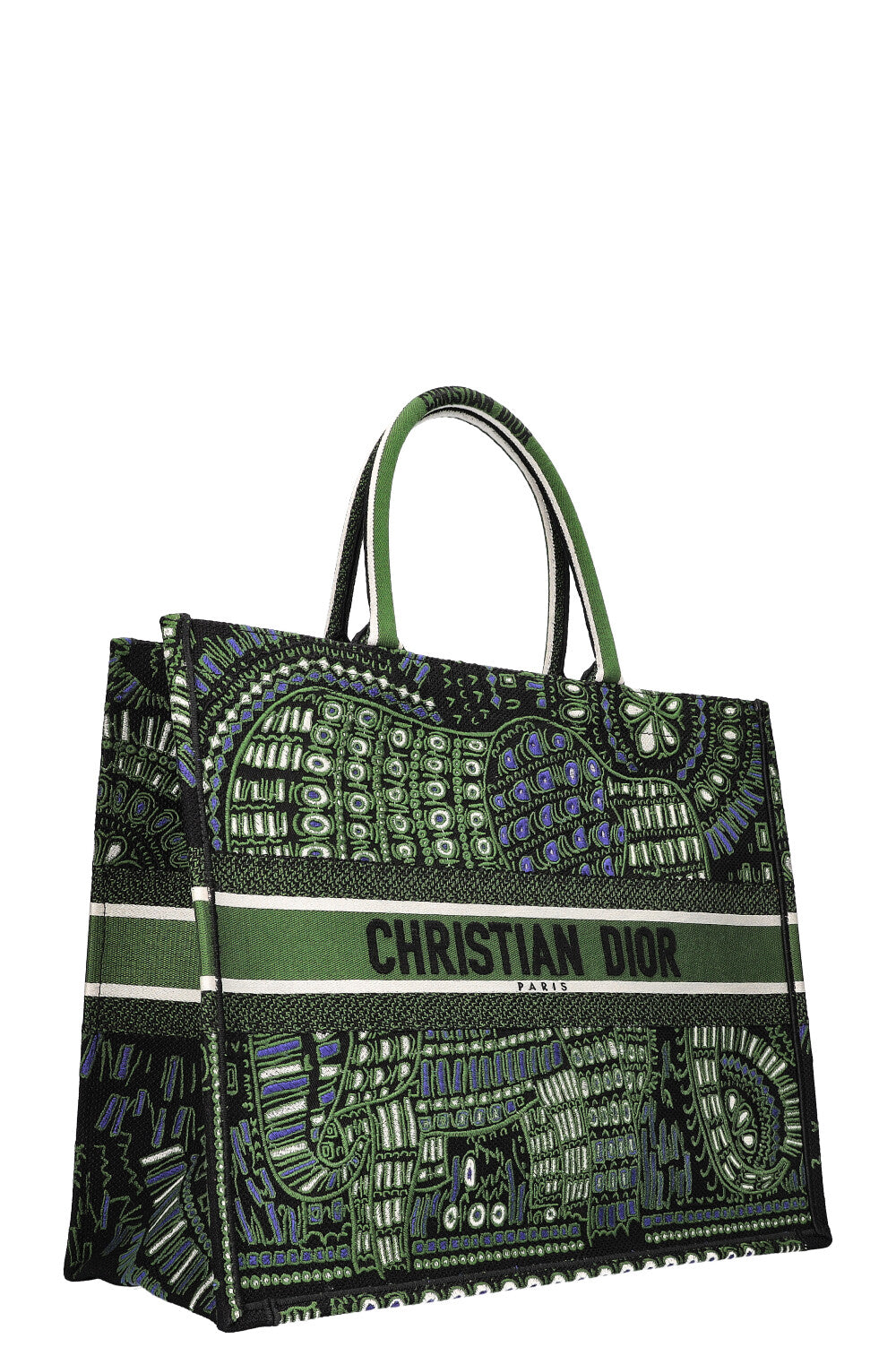Dior Book Tote Mini Canvas Tote