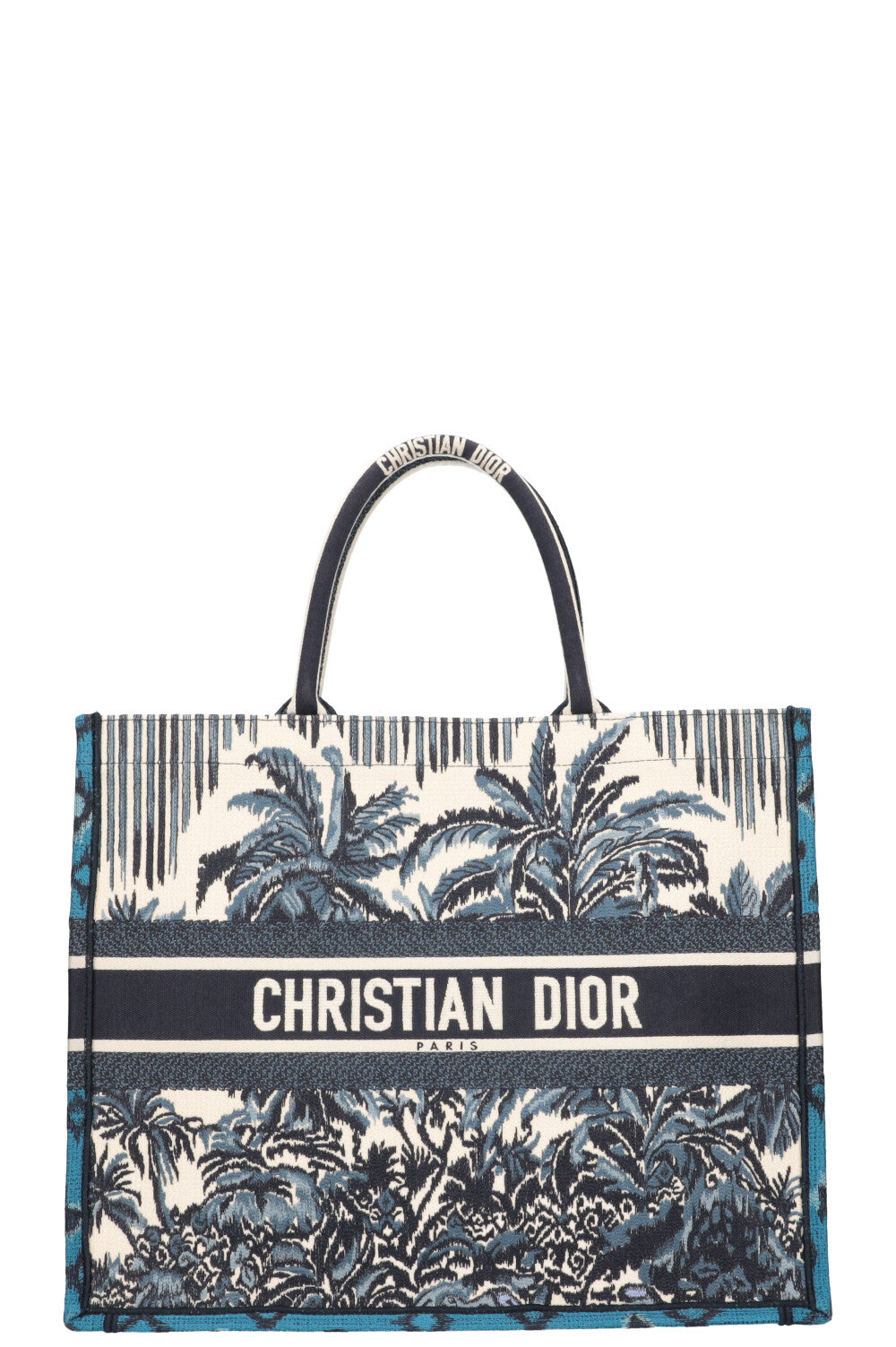 Dior Book Tote Canvas Tote