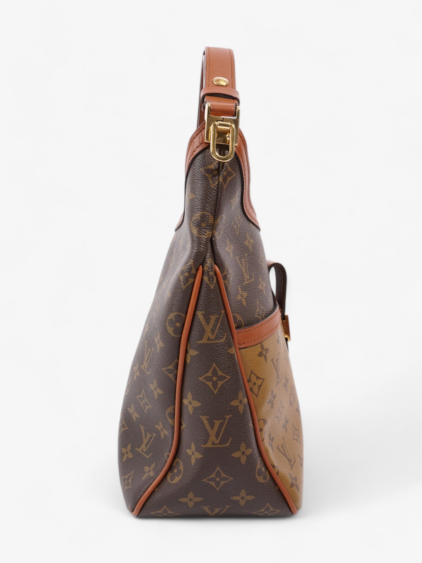 Louis Vuitton Dauphine Hobo Monogram / Monogram Reverse Coated Canvas MM