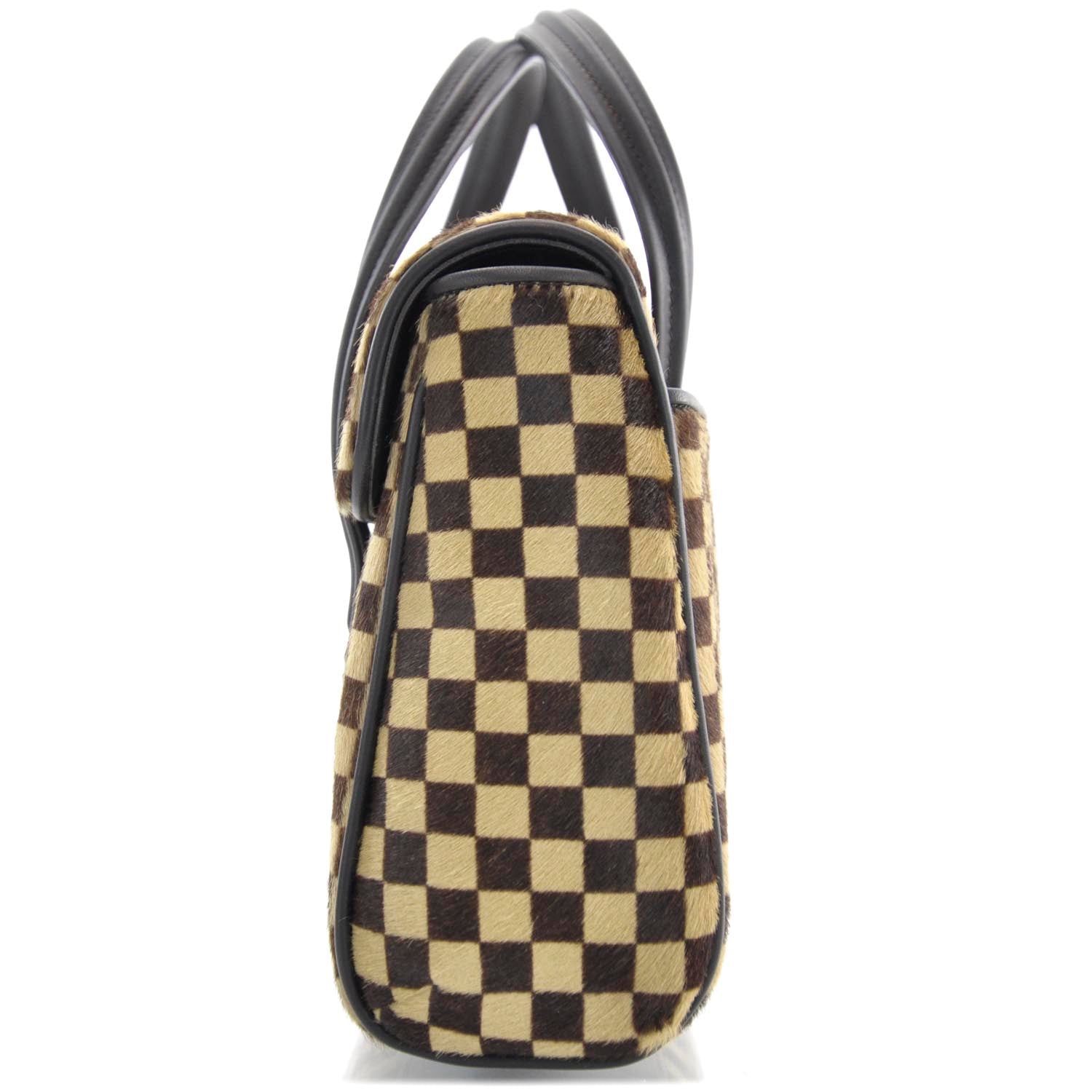LOUIS VUITTON DAMIER SAUVAGE LIONNE CALF HAIR HANDBAG