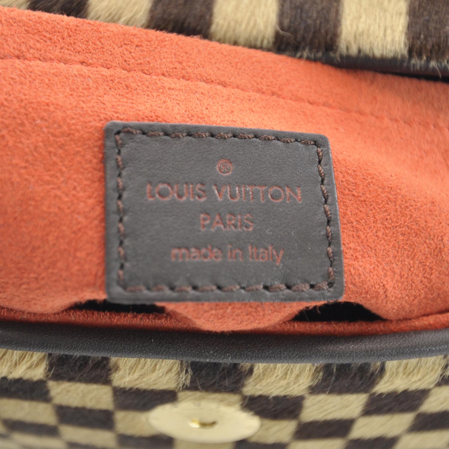 LOUIS VUITTON DAMIER SAUVAGE LIONNE CALF HAIR HANDBAG