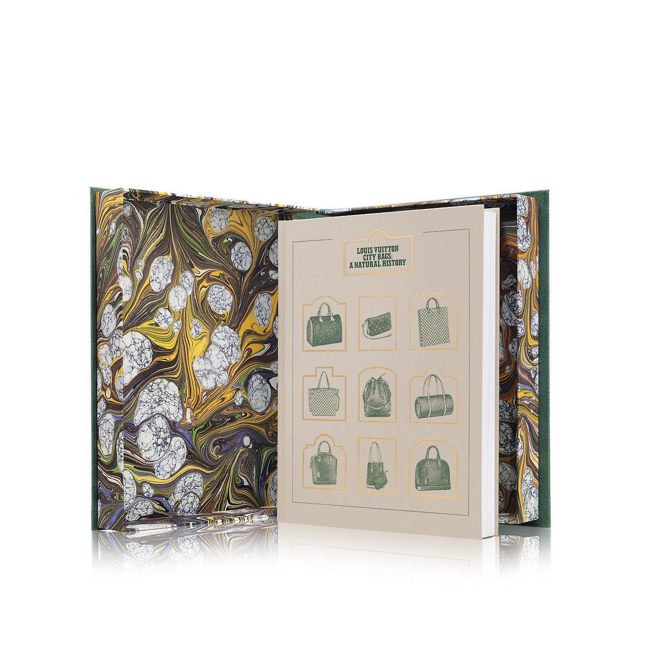 LOUIS VUITTON CITY BAG NATURAL HISTORY BOOK