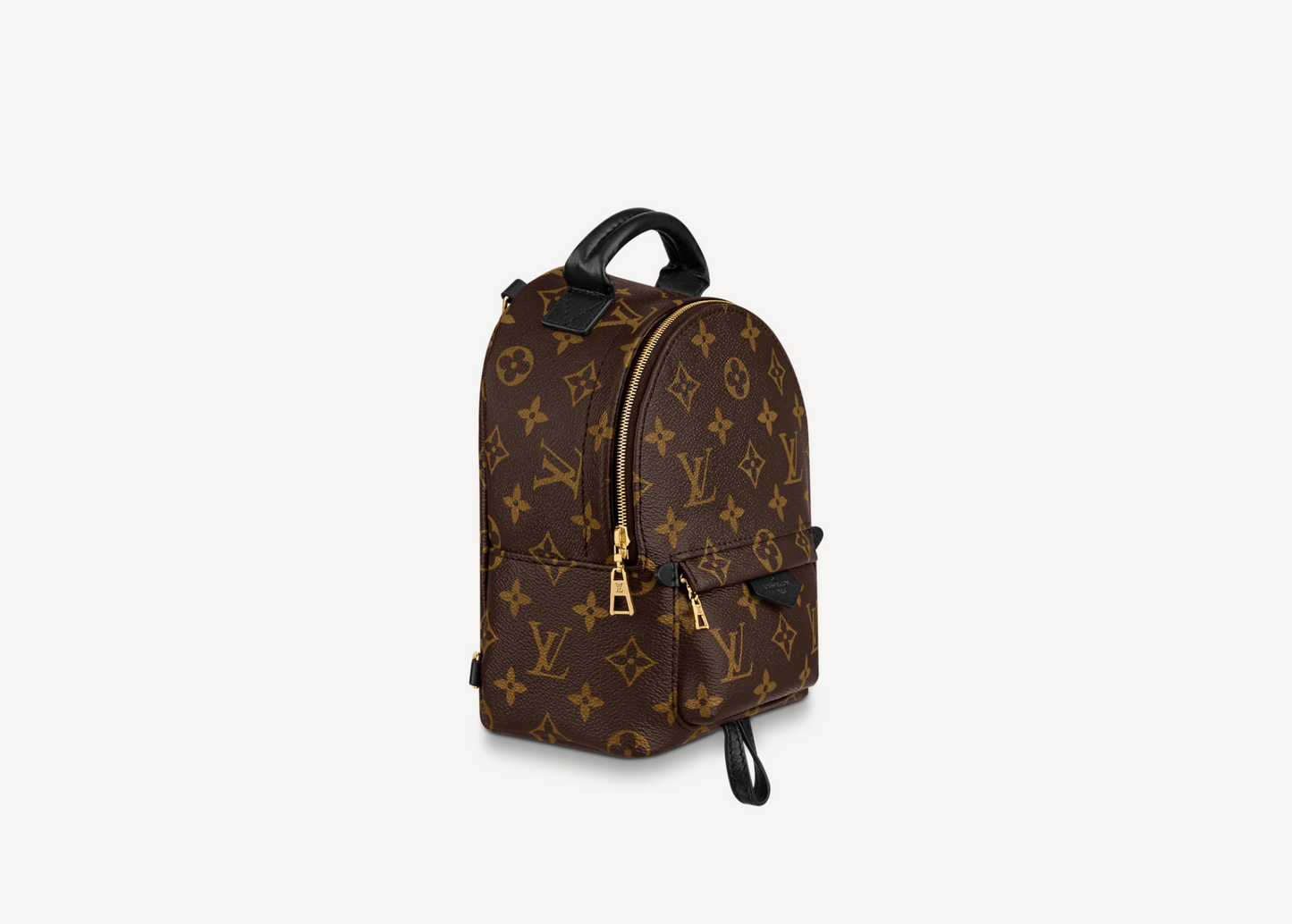 Luxury Women's Backpack | LOUIS VUITTON MONOGRAM PALM SPRINGS MINI BACKPACK