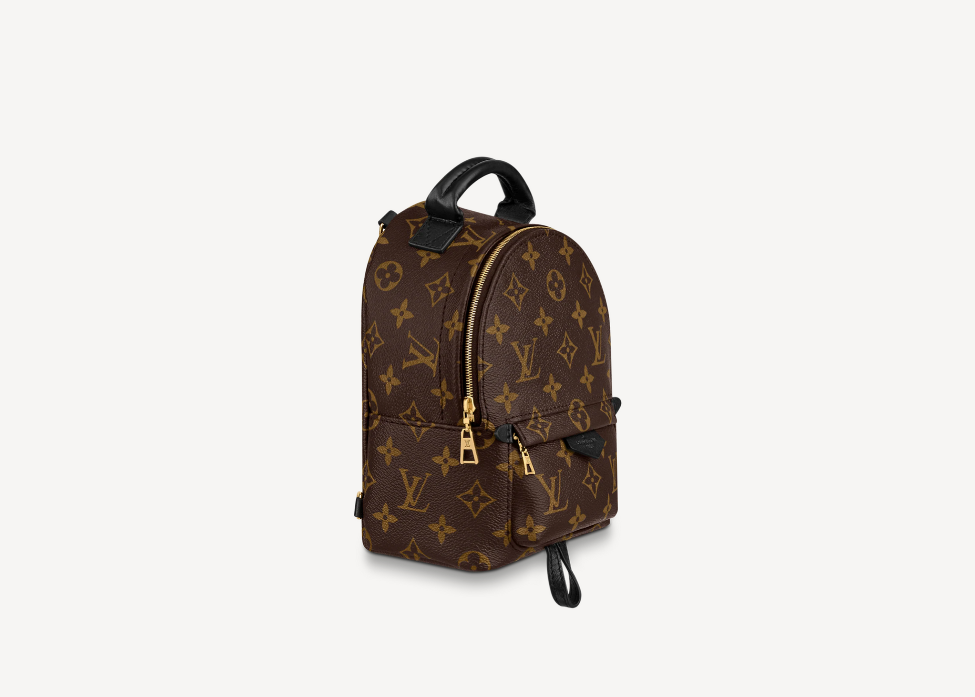 Luxury Women's Backpack | LOUIS VUITTON MONOGRAM PALM SPRINGS MINI BACKPACK