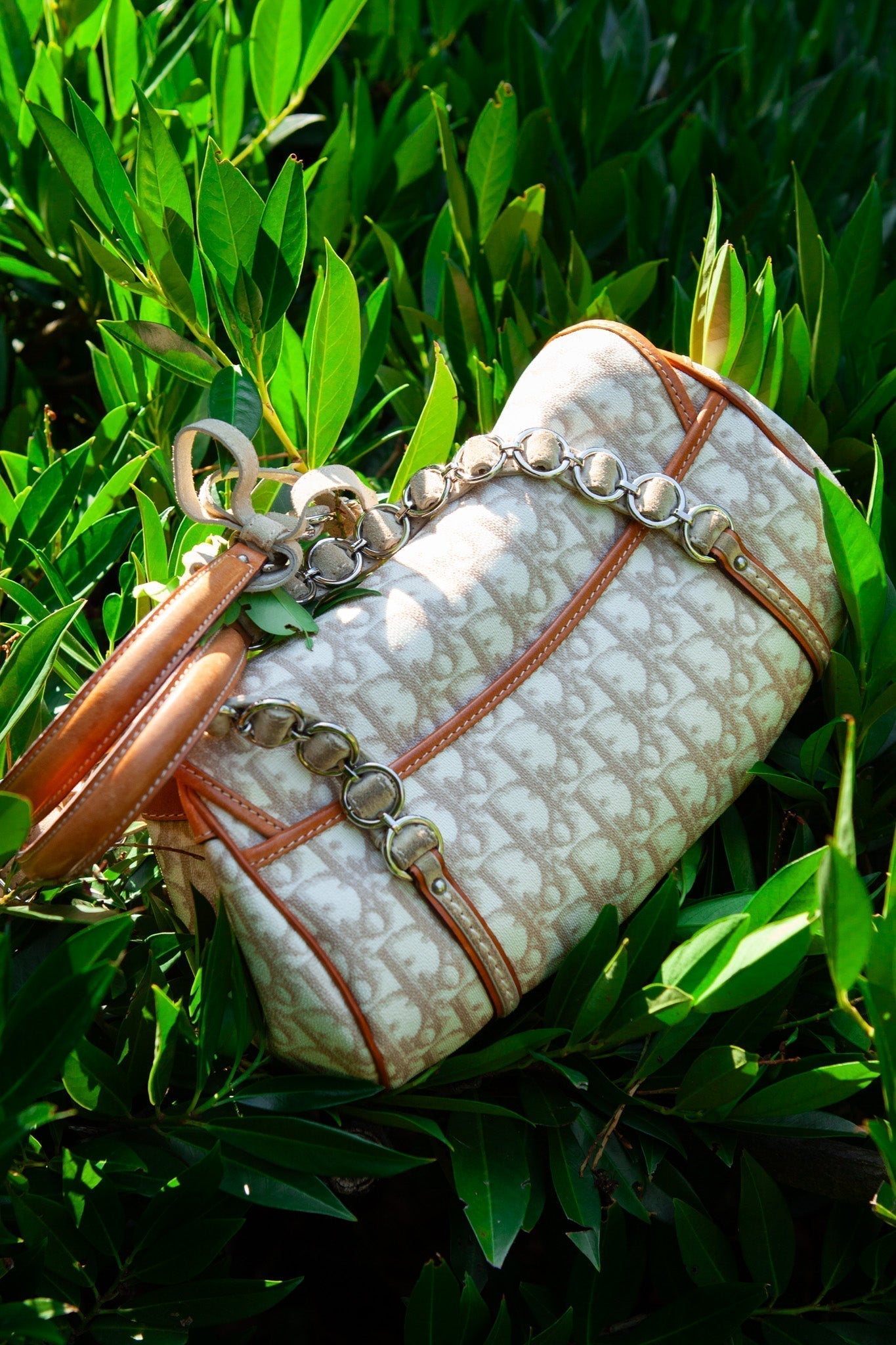 Dior Shoulder Bag