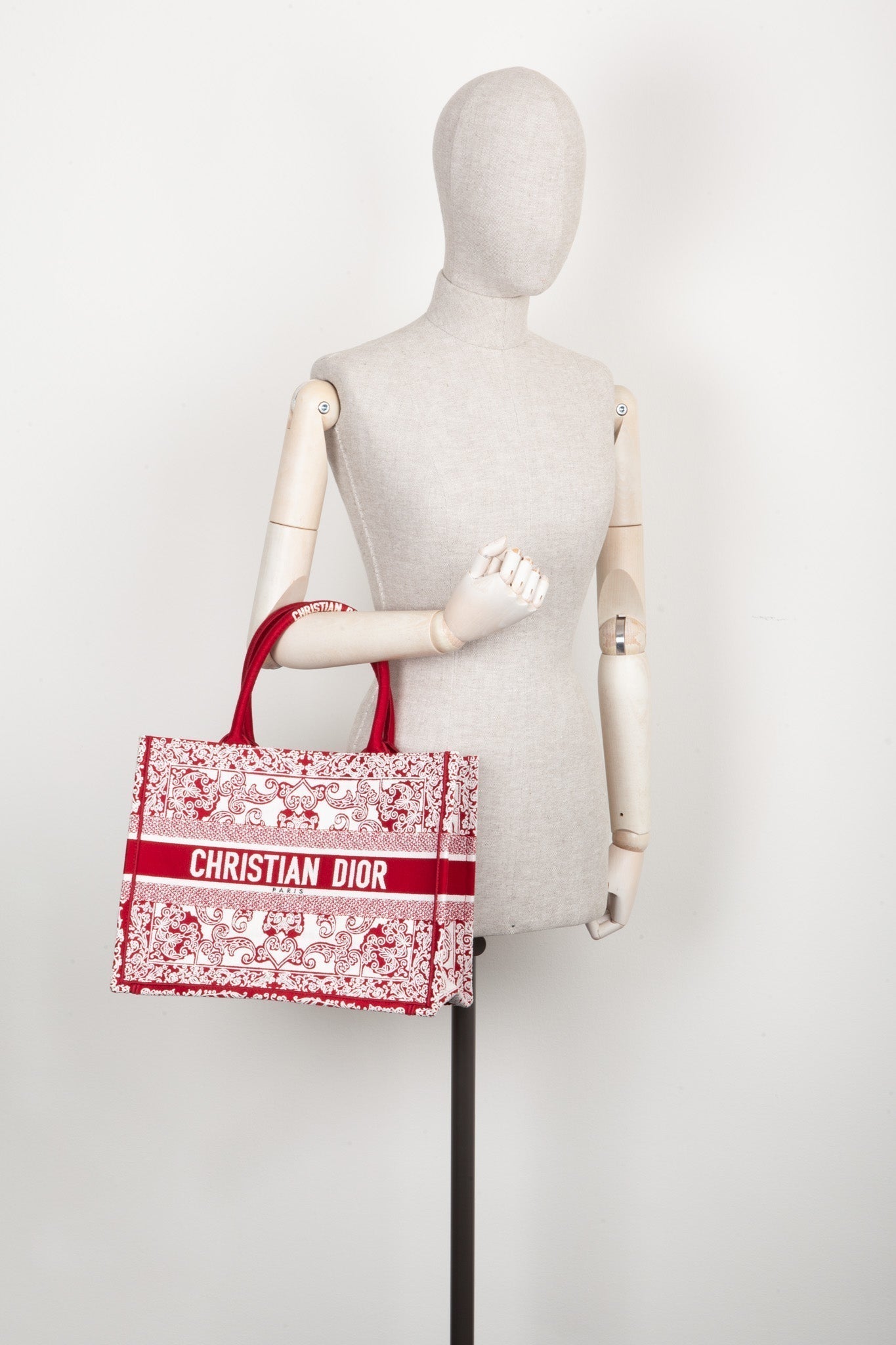 Dior Book Tote Mini Canvas Tote