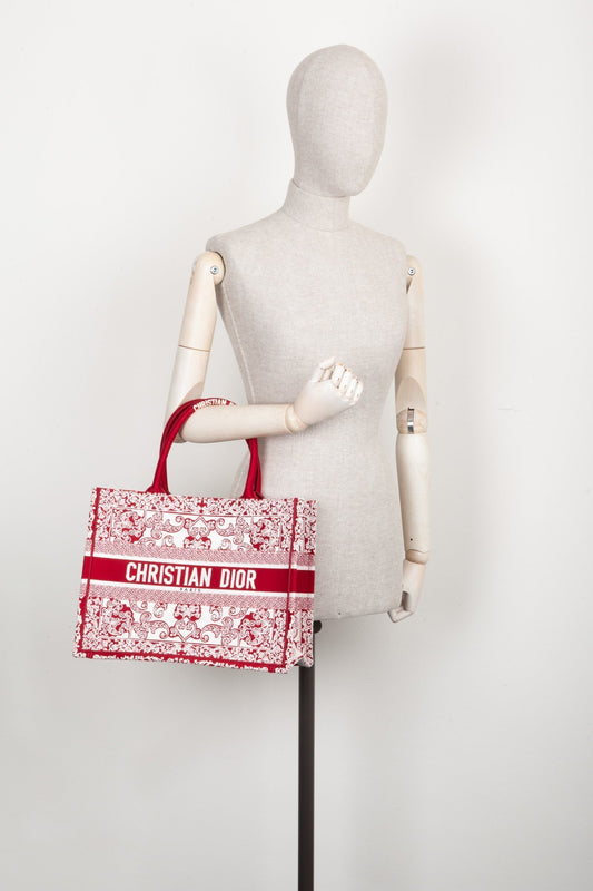 Dior Book Tote Mini Canvas Tote